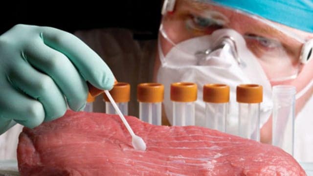 The Revolution of Lab Created Meats