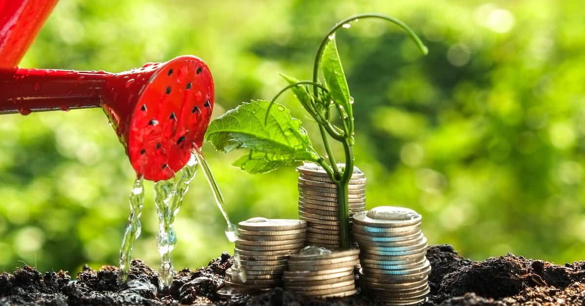 Is Capitalism Bad For The Environment?
