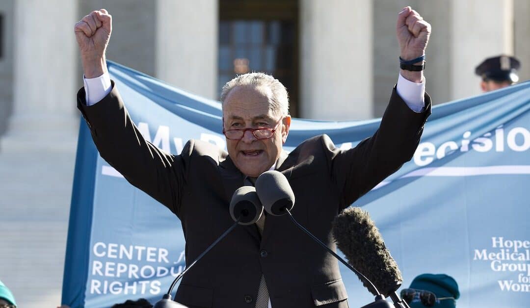 Chuckie Schumer, A Quick Peek into American Fascism