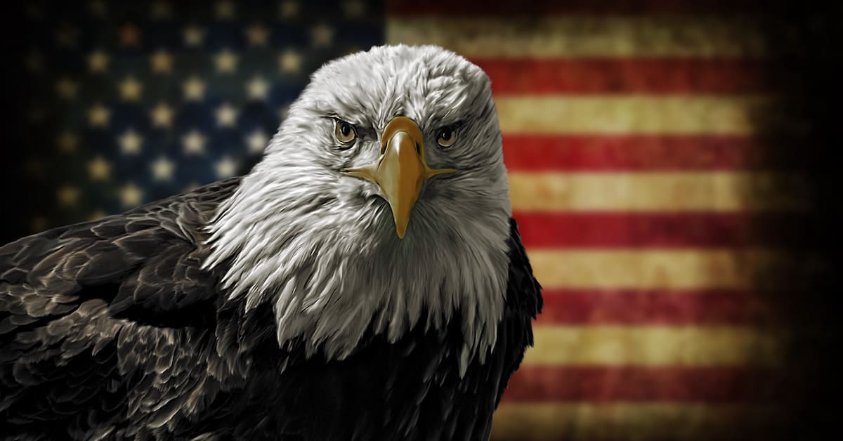Warts and all, America is Different