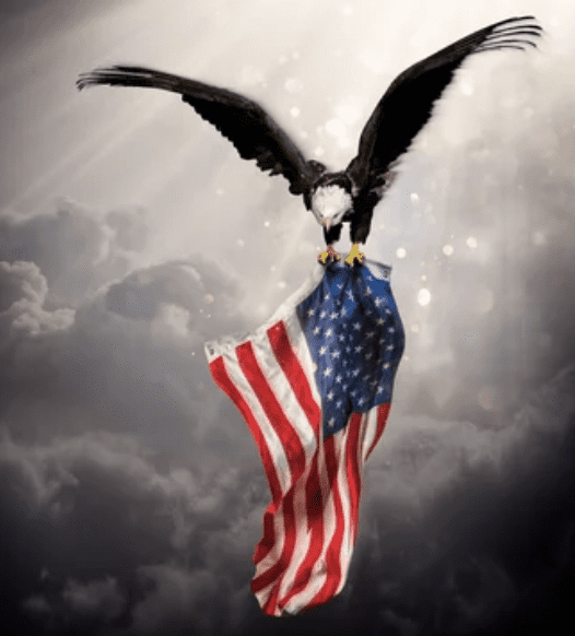 Stand Flag Kneel Cross