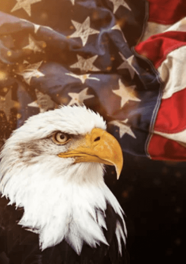 Stand Flag Kneel Cross