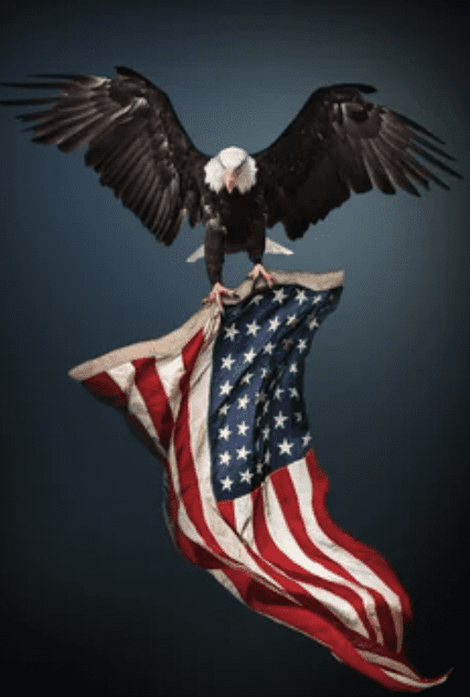 Faith Family Freedom