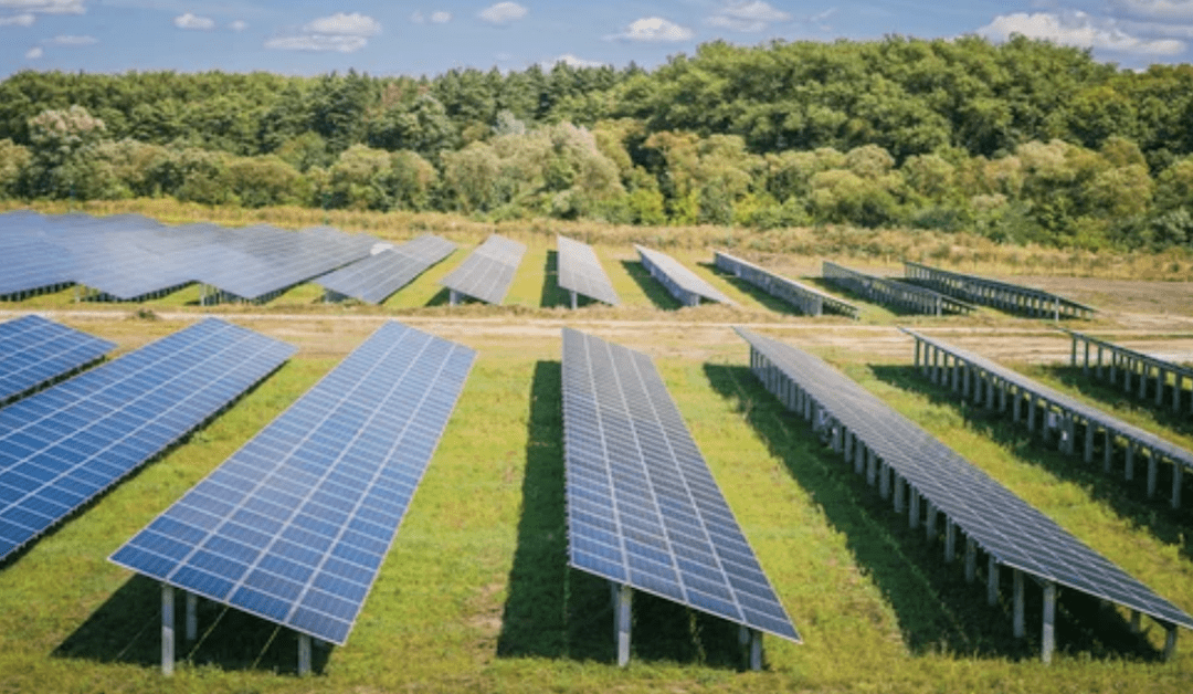 Solar Panels Taste Like Chicken