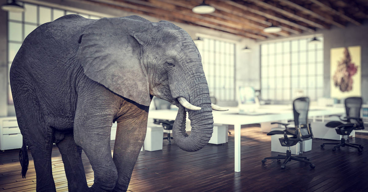 The Hydrocarbon Elephant in the Room Gov Gavin Newsom Refuses to Address