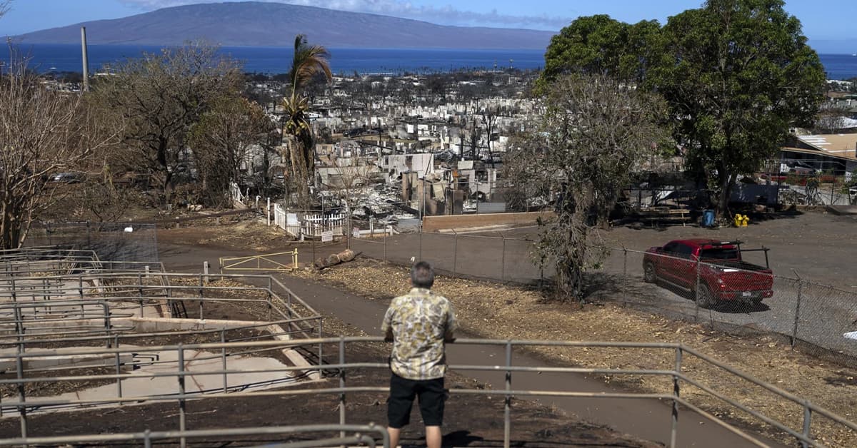 The Battlefield of Your Mind & War Waged on Maui – Safety Expert Weighs In
