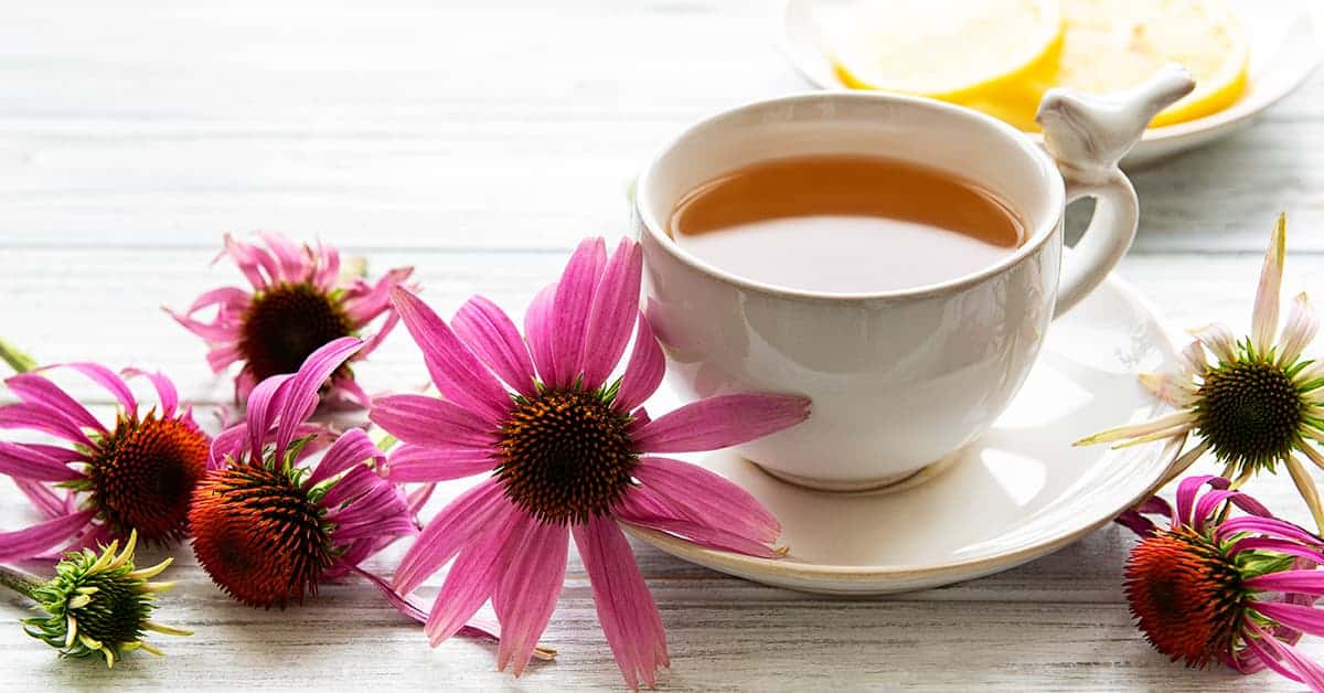 For Every Illness, There Is an Herb With Dr. Michael Gaeta