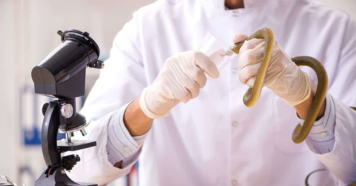 Unraveling the Mysteries of Snake Venom & Its Health Impact