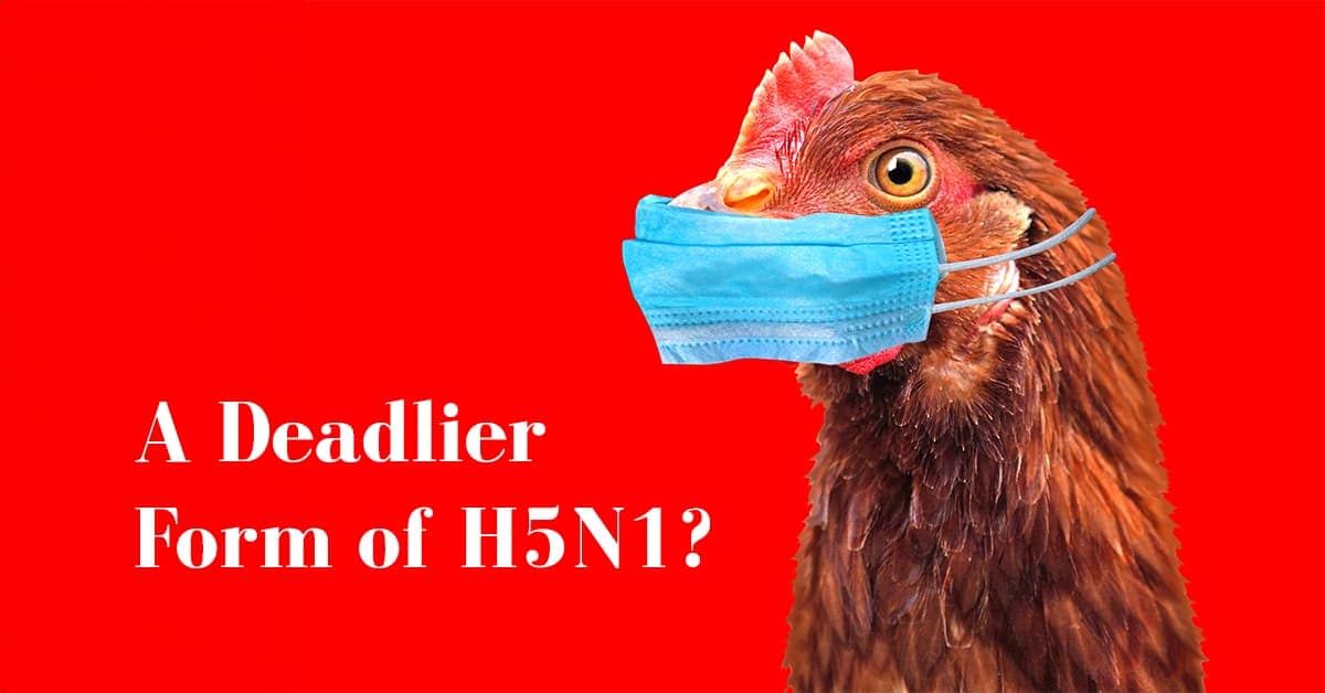 A Deadlier Form of Avian Influenza (H5N1)?