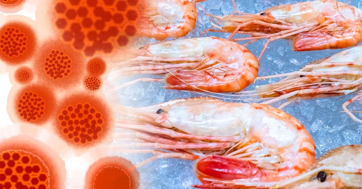 Poisoning Our Food To Sell Big Pharma