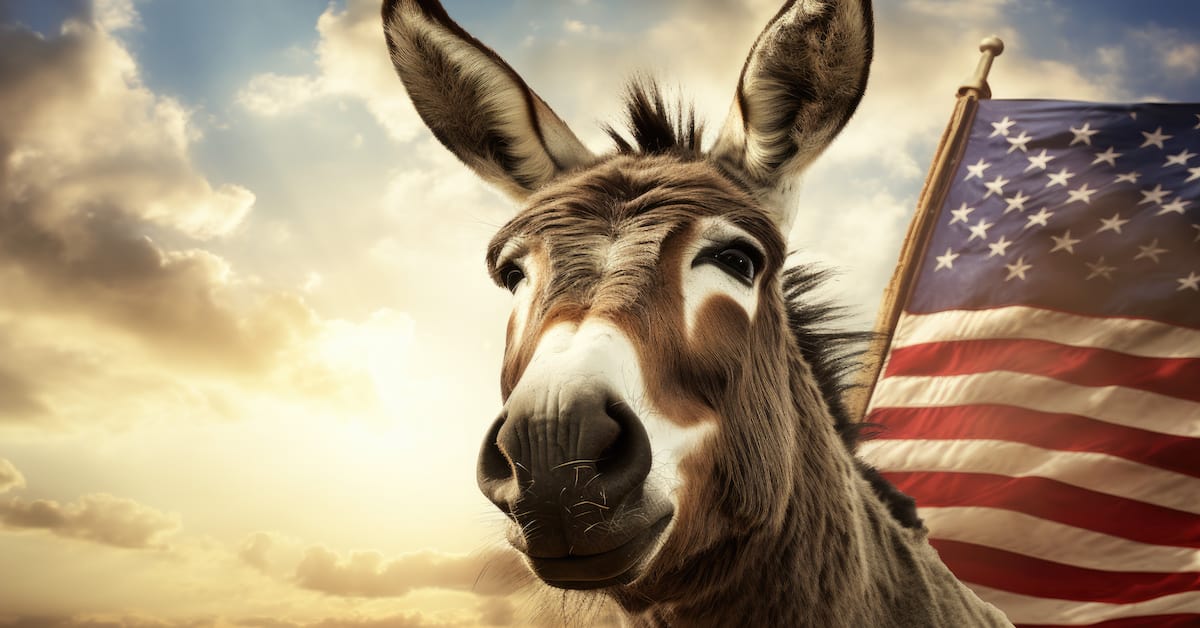 The DNC Leadership Ignores the Democratic Voter