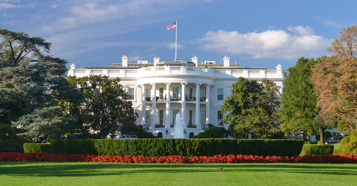 The US Presidency: Do Candidates Really Have What It Takes?