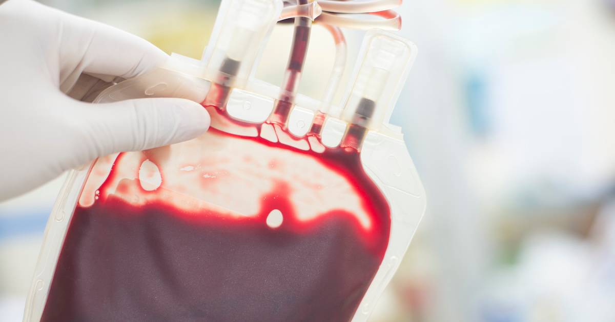 Red Cross Denies Contamination of the American Blood Supply – Nurse News Analysis