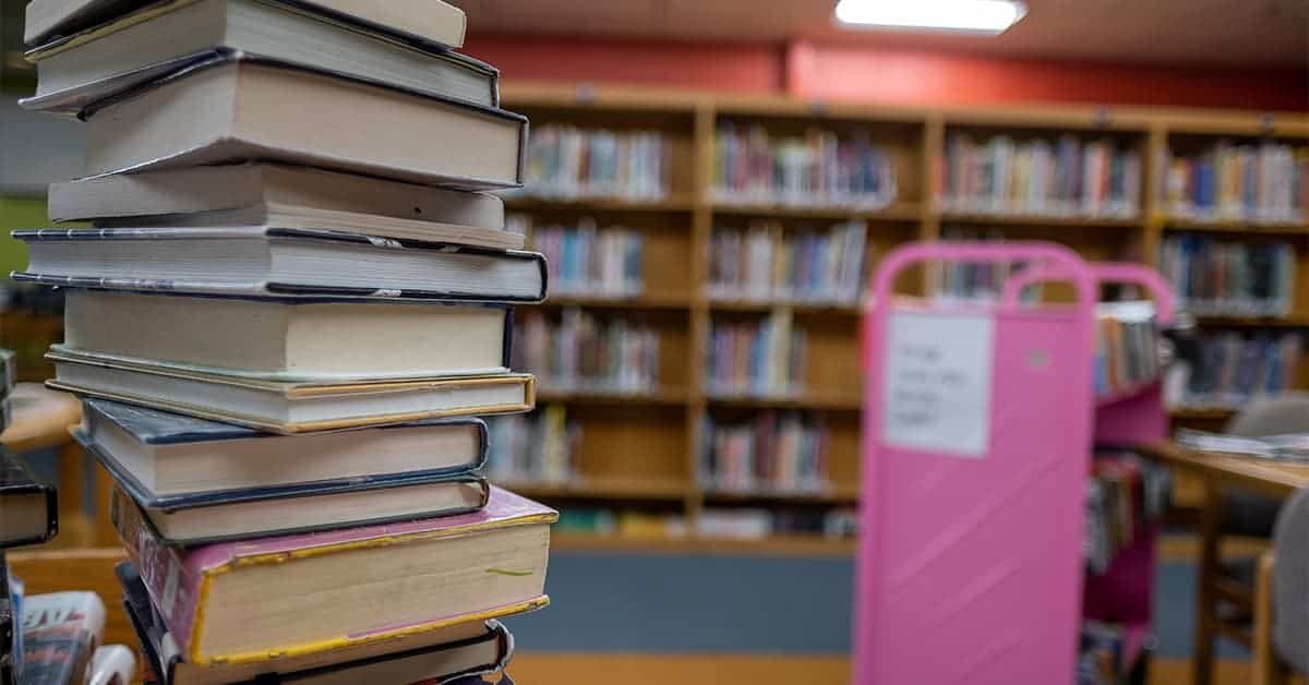 Are Illinois RINOs Okay With Sexualizing Kids in Schools