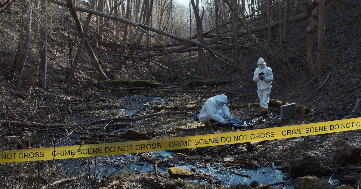 The Detectives Who Investigate the Crimes Can Themselves Fall Victim