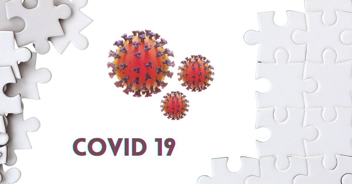 More Pieces of the Big Puzzle of COVID-19 Origin