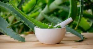 Aloe vera: A powerful plant with amazing health benefits