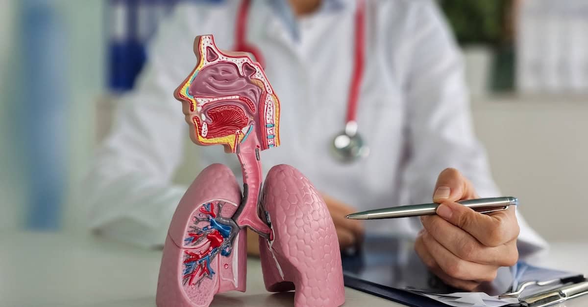 Stock_Firefly_89504_widescreen_1761823583210