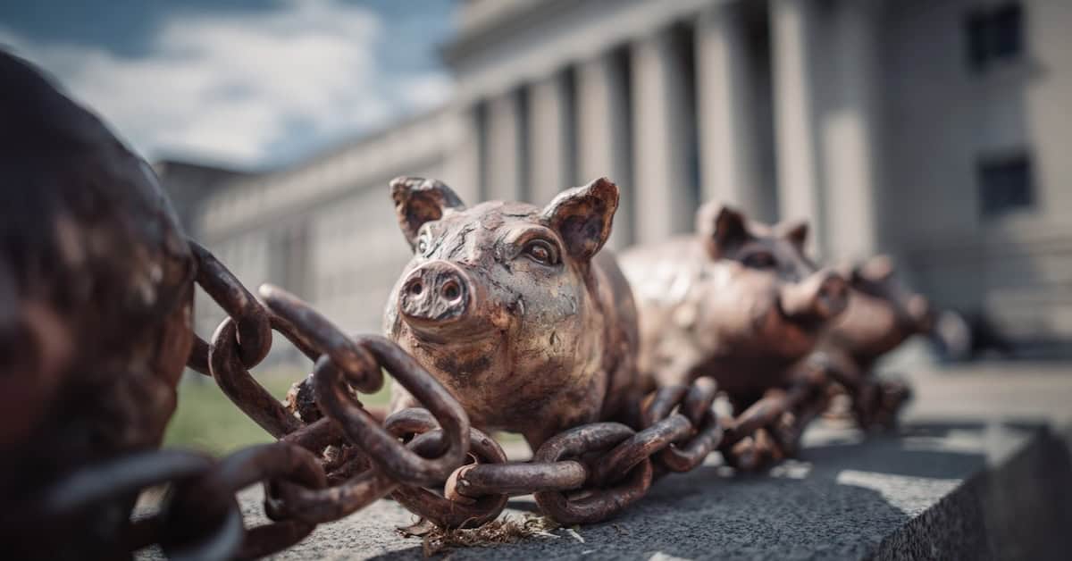 Stock_Firefly_85208_widescreen_1762957635279