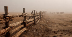 The war on farmers: How global power brokers are dismantling your food supply